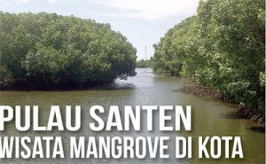 Wisata Mangrove di Kota Pulau Santen