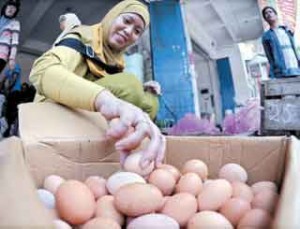 BERANJAK NAIK: Warga membeli telur di sebuah toko sembako di Banyuwangi kemarin.