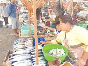 Rare Fish, Prices Soar