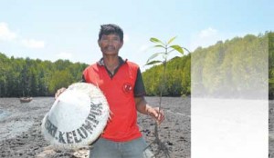 Pahlawan Mangrove Teluk Pangpang