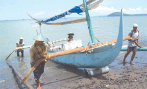 Musim Ikan Teribang, Berangkat Pagi Pulang Meriang