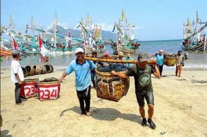 Minapolitan Muncar, Bandar Ikan Laut Terbesar se-Jawa