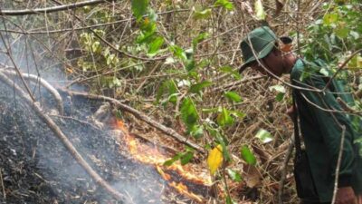 130 Hektare Hutan Terbakar