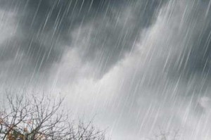 Hujan Deras Guyur Banyuwangi