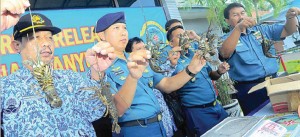 TNI AL Gerebek Gudang Lobster