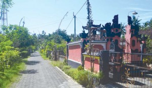 Rayakan Nyepi, Desa Patoman Lengang