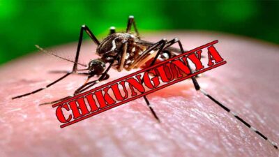 Warga Dua Dusun Diserang Chikungunya