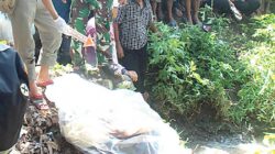 Lokasi-penemuan-mayat-dalam-plastik-di-dekat-sungai-di-Desa-Dasri,-Kecamatan-Tegalsari,-Banyuwangi,-kemarin.