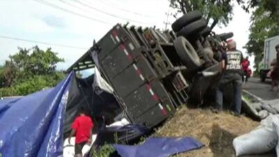Want to Climb, Overturned Chicken Feed Truck