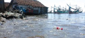 Banjir Rob Terjang Ratusan Rumah Warga di Muncar