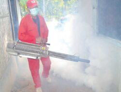 Ratusan Warga Rogojampi Diserang Chikungunya