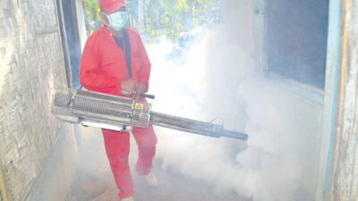 Ratusan Warga Rogojampi Diserang Chikungunya