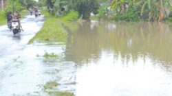 Sawah-milik-petani-di-Dusun-Palurejo,-Desa-Tembokrejo,-Kecamatan-Muncar,-terendam-banjir-Senin-lalu.