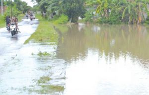 Flooded, Farmers in Muncar District Lose