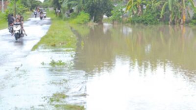 Diterjang Banjir, Petani di Kecamatan Muncar Merugi