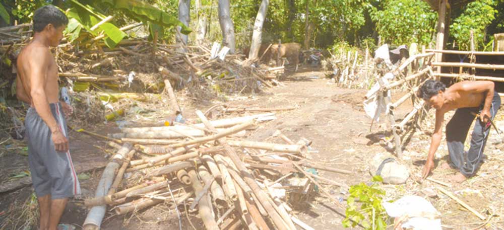 Wijianto,-45,-dengan-kandang-sapi-miliknya-yang-hanyut-disapu-banjir-di-Kecamatan-Muncar,-Banyuwangi,-kemarin