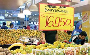 Jeruk Siam Banyuwangi Tembus Pasar Nasional