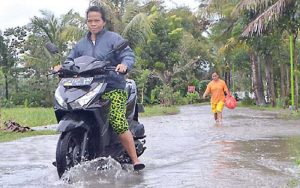 Hujan Semalam, Sejumlah Ruas Jalan di Kabupaten Banyuwangi Tergenang Air