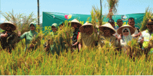 Danrem Praises Agriculture in Banyuwangi
