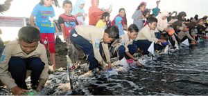 Ratusan Siswa SD Lepasliarkan 700 Ekor Tukik di Pantai Boom