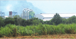Boiler Kekurangan Air, Pabrik Gula Glenmore Macet