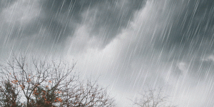 BMKG Predicts Rain in Banyuwangi for the Next Two Days