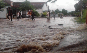 Delapan Kecamatan di Kabupaten Banyuwangi Rawan Banjir
