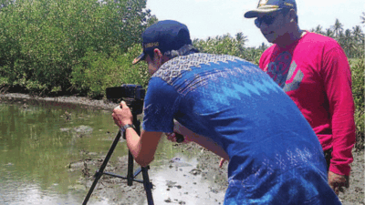 Take Pictures in the Mangrove Forest