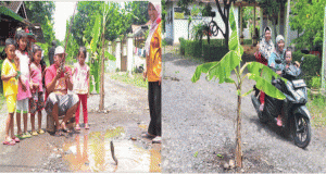 Broken Road Demo, Residents Plant Bananas and Fish in the Middle of the Road