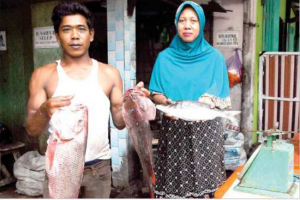 One kilo of Red Snapper Rp 50 Thousand