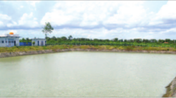 Embung-setinggi-lima-meter-di-Dusun-Bayatrejo,-Desa-Wringinpitu,-Kecamatan-Tegaldlimo-terisi-air-untuk-irigasi-pertanian,-kemarin