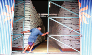 Bulog Banyuwangi Will Buy 60 Thousand Tons of Farmer's Rice