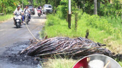 Gulungan-kabel-MVTIC-yang-diduga-sengaja-dibakar-masih-ada-di-pinggir-jalan-raya-Dusun-Silirbaru,-Desa-Sumberagung