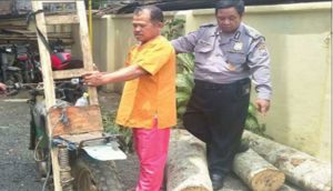 Polisi Tangkap Penjarah Pohon Sengon