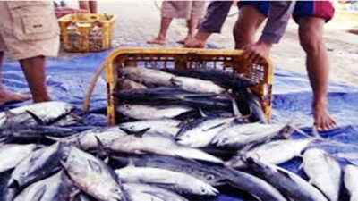 Nelayan Tak Melaut, Harga Ikan Meroket