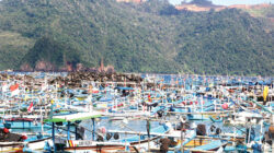 Kapal-nelayan-andon-membaur-dengan-ratusan-perahu-milik-nelayan-Pancer-di-Pelabuhan-Pancer,-Desa-Sumberagung,-Kecamatan-Pesanggaran,-Banyuwangi