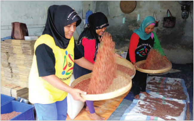 Proses-produksi-beras-germinasi-di-Sirtanio-Organik-Indonesia-(SOI)-Desa-Sumberbaru,-Kecamatan-Singojuruh,-kemarin.