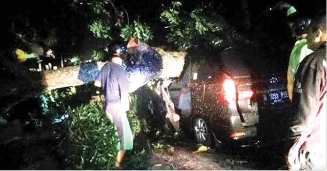 Mobil-Toyota-Avanza-tertimpa-pohon-berukuran-besar-saat-melintas-di-Dusun-Gombol,-Desa-Benelan-Kidul,-Kecamatan-Singojuruh,-Banyuwangi,-kemarin-malam