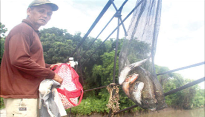 Siyono-menunjukkan-ikan-memancing-di-Rowo-Biru,-Desa-Buluagung,-Kecamatan-Siliragung,-kemarin
