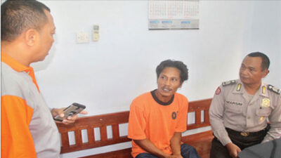 Citizens Arrested Dragon Fruit Lamp Thief