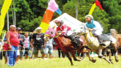 Latihan-pacuan-kuda-di-Lapangan-Mangaran,-Desa-Sumberarum,-Kecamatan-Songgon,-kemarin.’