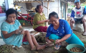 Sentra Penjual Kacang Rebus di Banyuwangi yang Terkenal sampai ke Bali