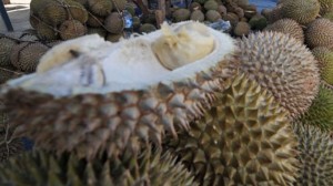 Efek Cuaca, Songgon Paceklik Durian