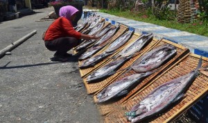 Sering Hujan Sebabkan Pendapatan Perajin Ikan Turun