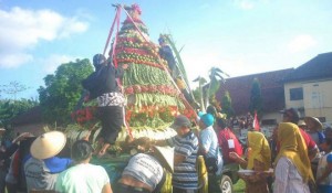 Village Clean Tradition, Residents of Cluring Fight the Giant Tumpeng