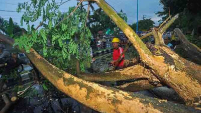 Alert! Extreme Weather Lands Banyuwangi, This is the consequence……