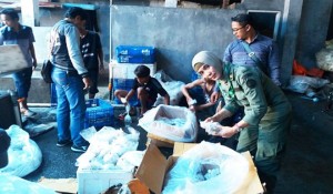 BKSDA Banyuwangi Gagalkan Penyelundupan Ratusan Koral