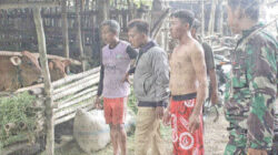 Pasukan-Monyet-Serang-Warga-di-Desa-Blambangan-Kecamatan-Muncar