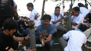 Hari Nusantara, BPPP Tenggelamkan 100 Coral di Pantai Grand Watudodol