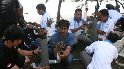 Hari Nusantara, BPPP Tenggelamkan 100 Coral di Pantai Grand Watudodol